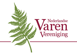 (c) Nederlandse-varenvereniging.nl