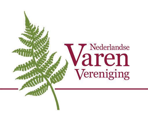 Nederlandse varenvereniging